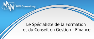 MW Consulting