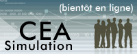 Simulation CEA